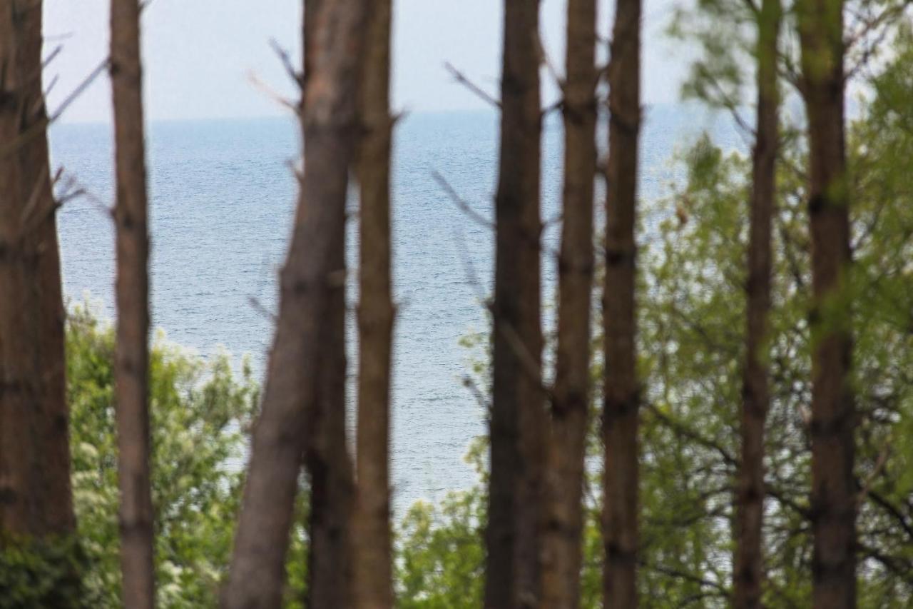 Palicki - Apartamenty Z Widokiem Na Morze Rewal Exteriér fotografie